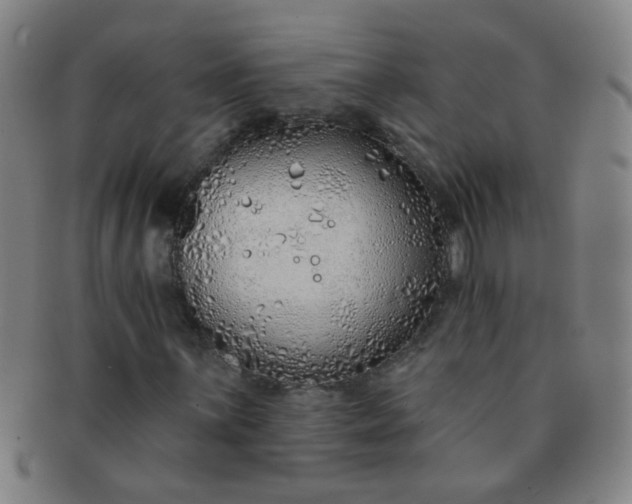 X0000091371059200708241328