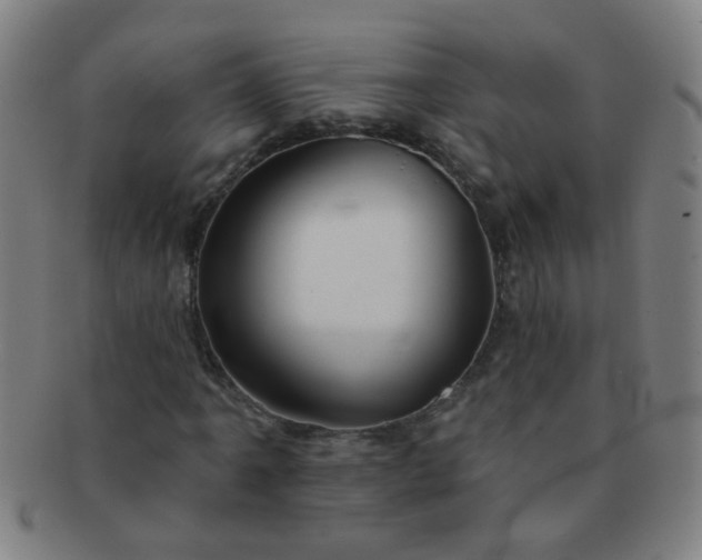 X0000091371061200708241328