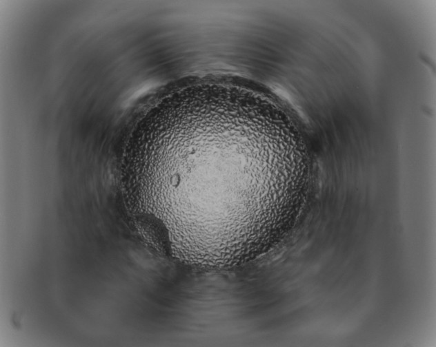 X0000091371063200708241328