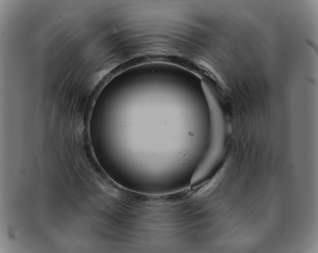 X0000091371065200708241328