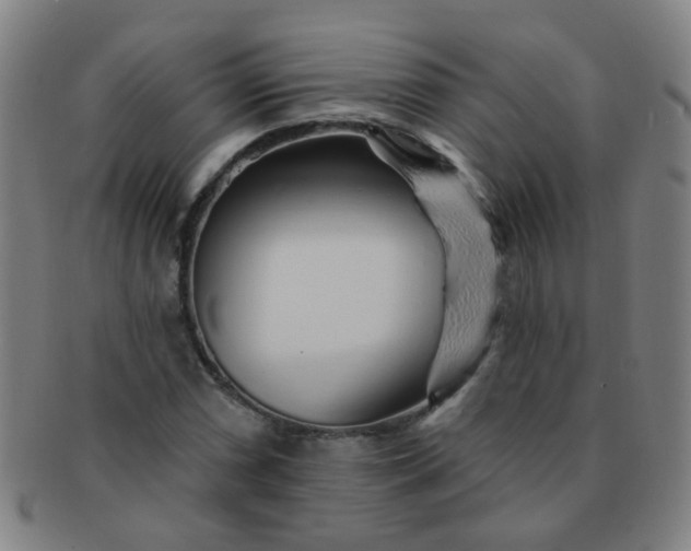 X0000091371066200708241328