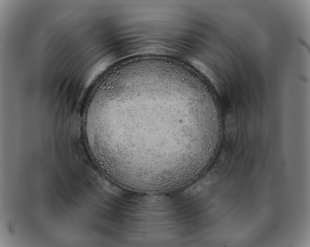 X0000091371067200708241328