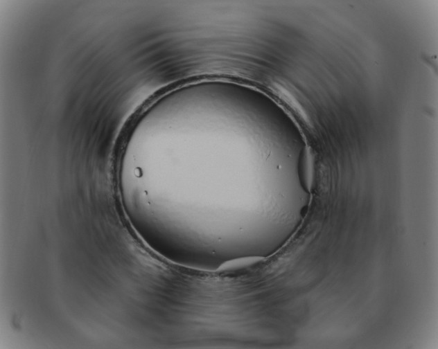 X0000091371068200708241328