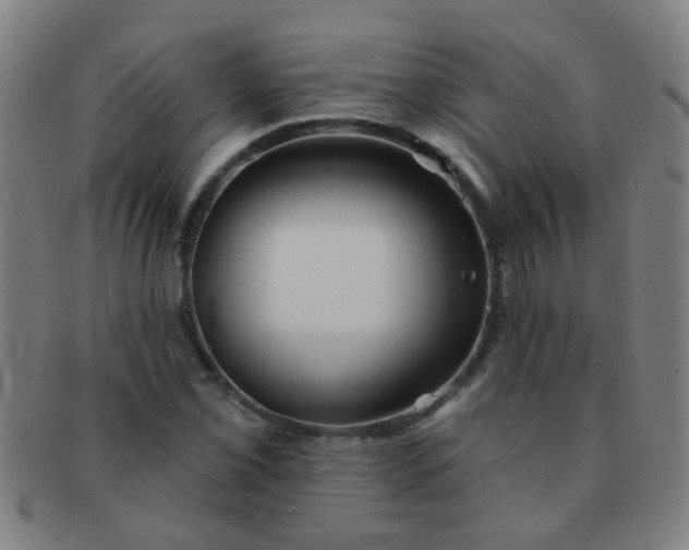 X0000091371069200708241328