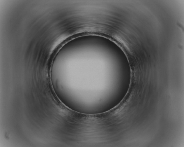 X0000091371070200708241328