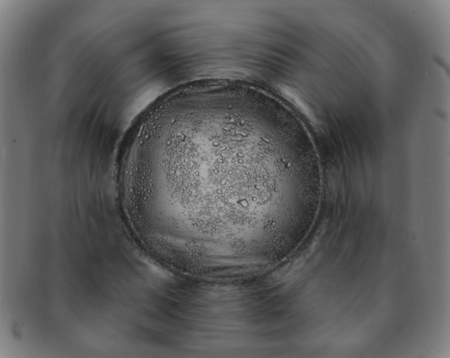 X0000091371071200708241328