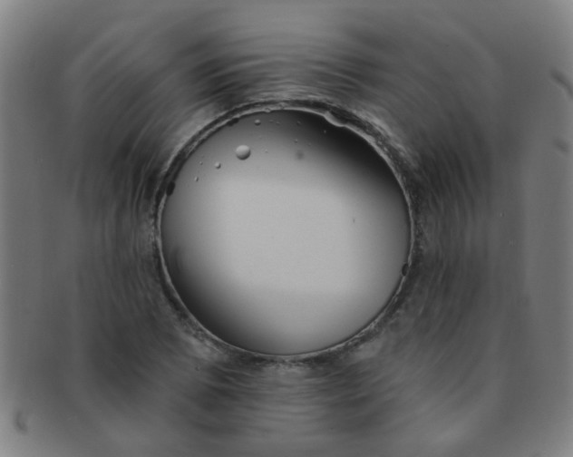 X0000091371073200708241328