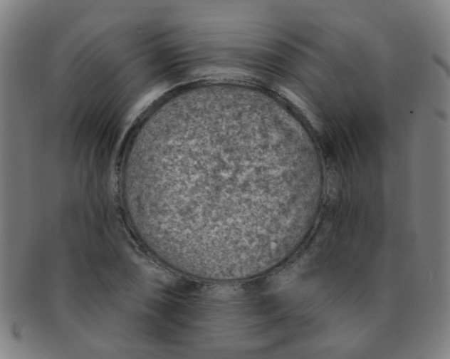 X0000091371074200708241328