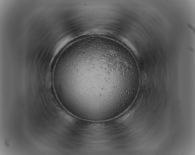 X0000091371075200708241328