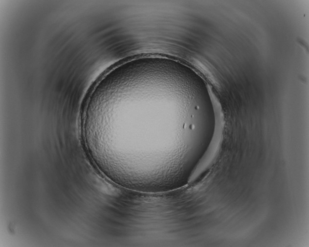 X0000091371076200708241328