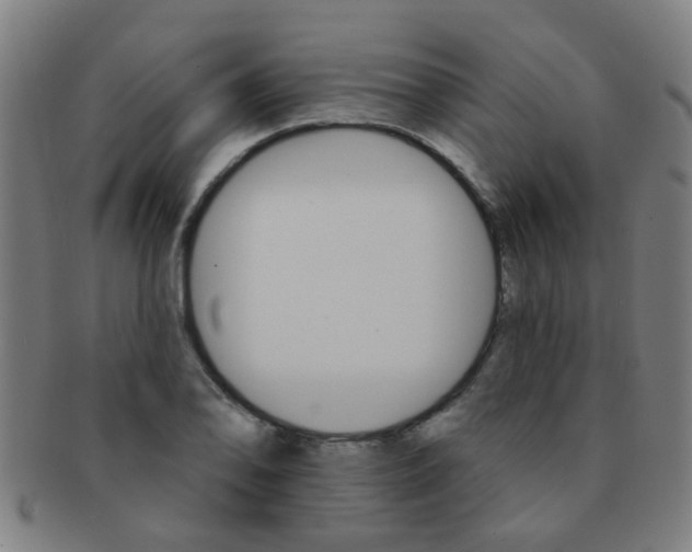 X0000091371078200708241328