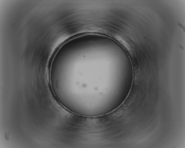 X0000091371080200708241328