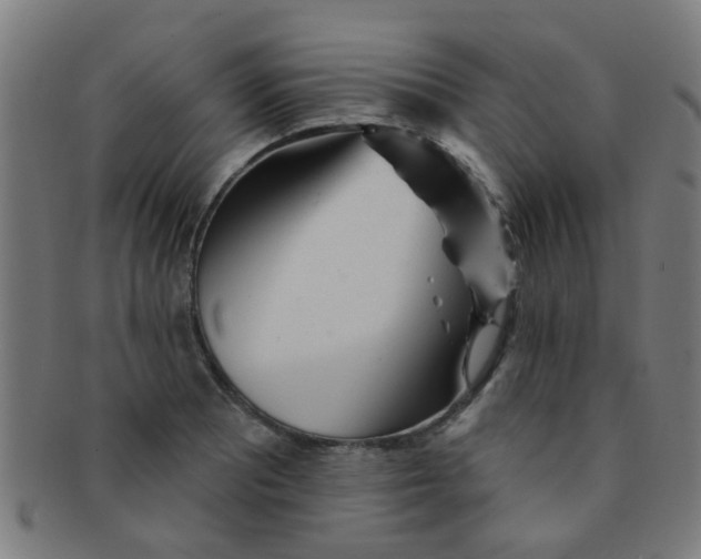 X0000091371081200708241328