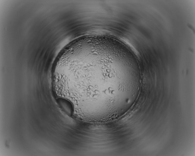 X0000091371083200708241328