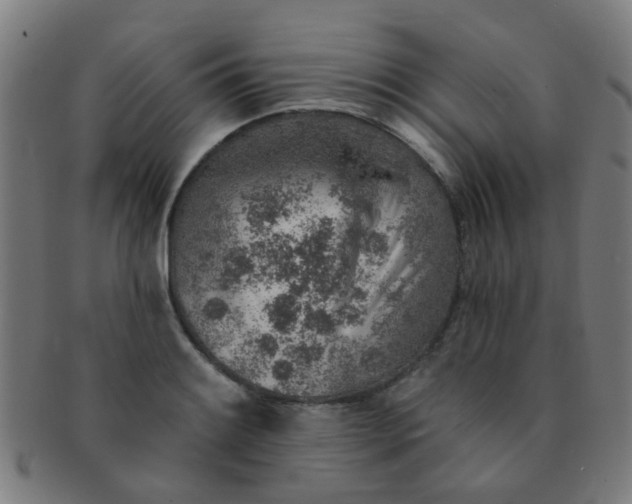 X0000091371084200708241328