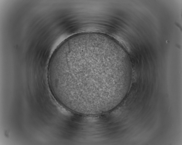 X0000091371086200708241328