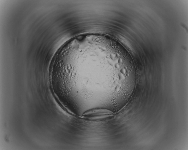 X0000091371087200708241328