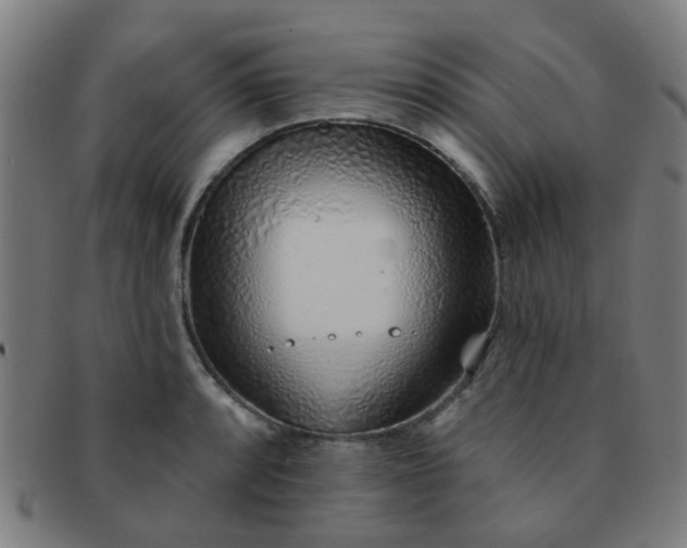 X0000091371088200708241328