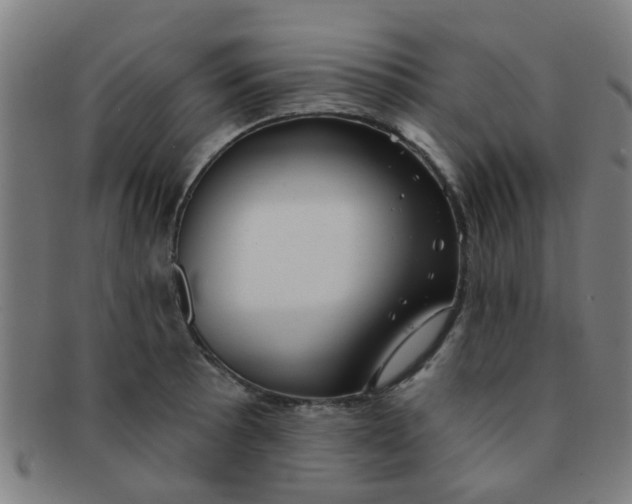 X0000091371089200708241328