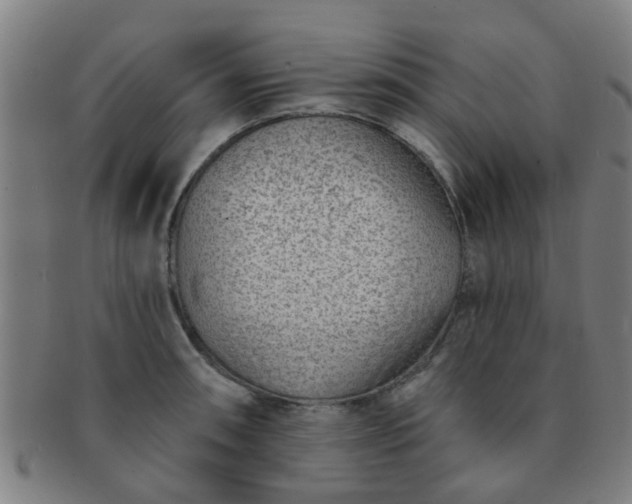 X0000091371090200708241328