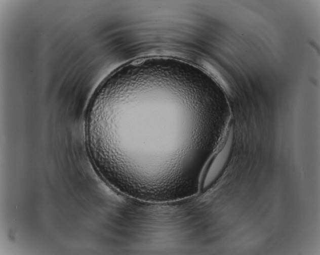 X0000091371092200708241328