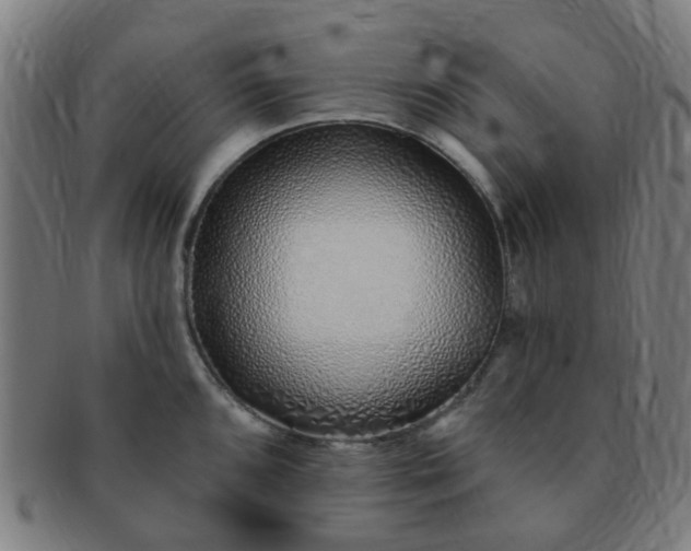 X0000091371096200708241327