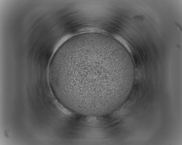 X0000091371098200708241327