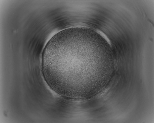 X0000091371099200708241327