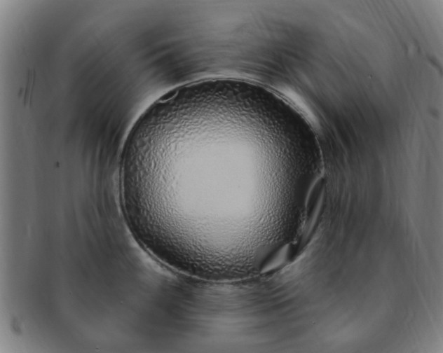 X0000091371100200708241327