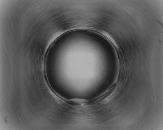 X0000091371101200708241327