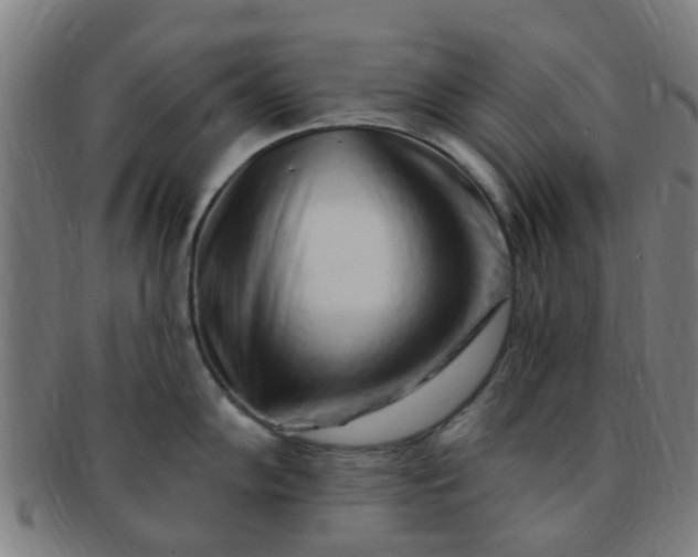 X0000091371102200708241327