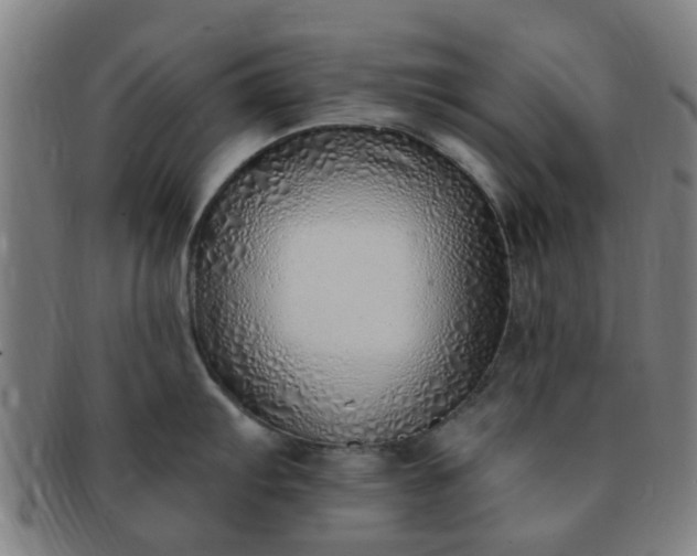 X0000091371103200708241327