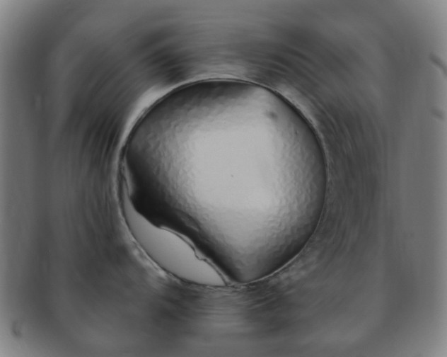 X0000091371104200708241327