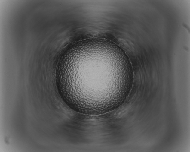 X0000091371105200708241326