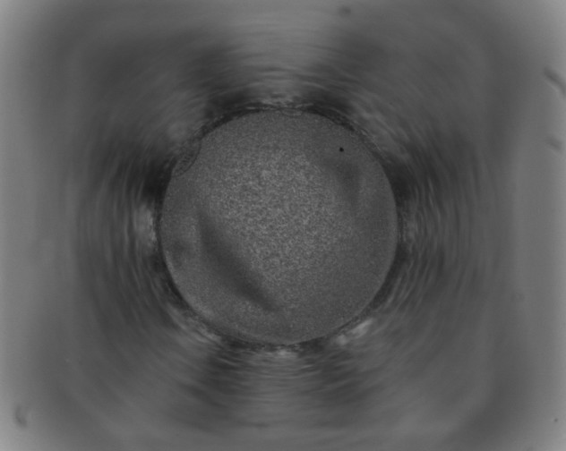 X0000091371106200708241326