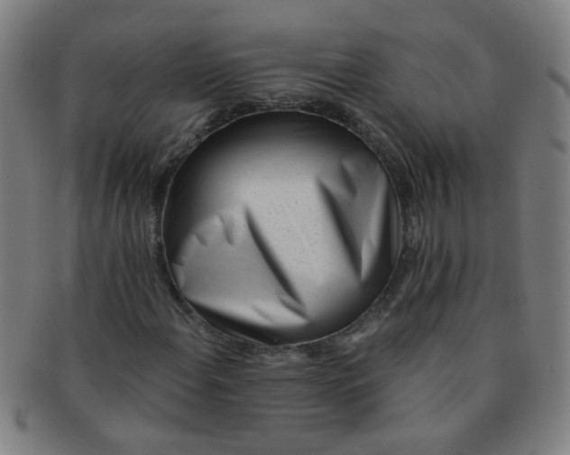 X0000091371108200708241326