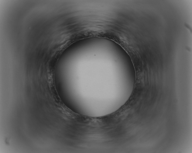 X0000091371109200708241326