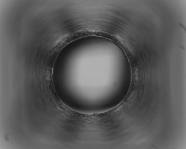 X0000091371110200708241326