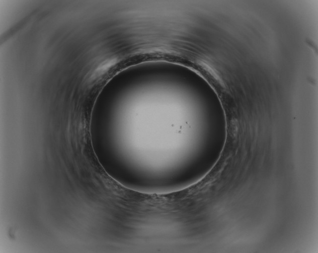 X0000091371111200708241326