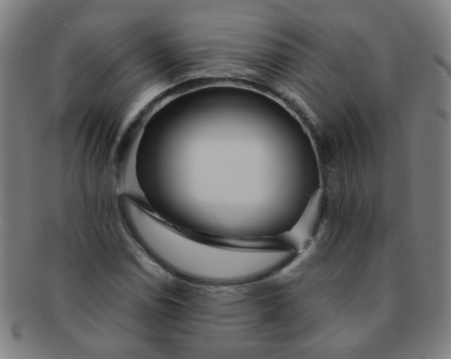 X0000091371114200708241326