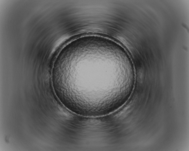 X0000091371115200708241327