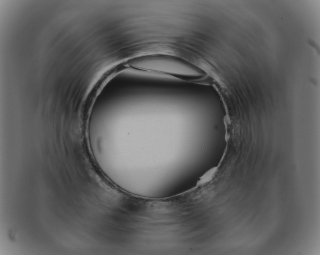 X0000091371116200708241327