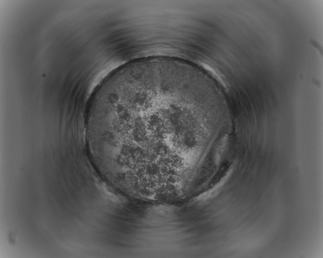 X0000091371117200708241327