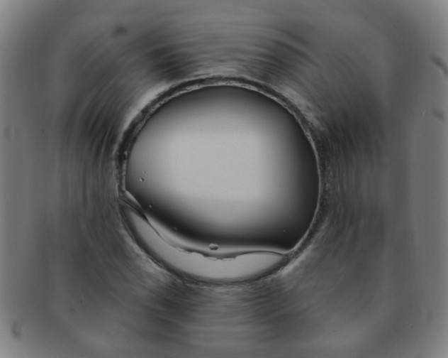 X0000091371118200708241327