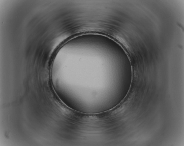 X0000091371119200708241327