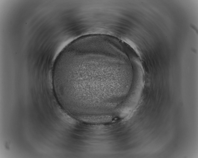 X0000091371120200708241327