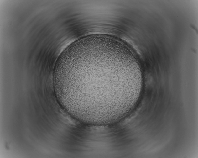 X0000091371121200708241327