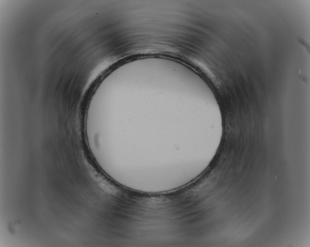 X0000091371122200708241327