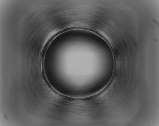 X0000091371123200708241327