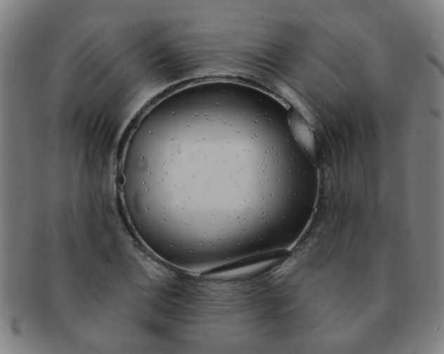 X0000091371124200708241327